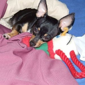 Meet your Posher, Andrew